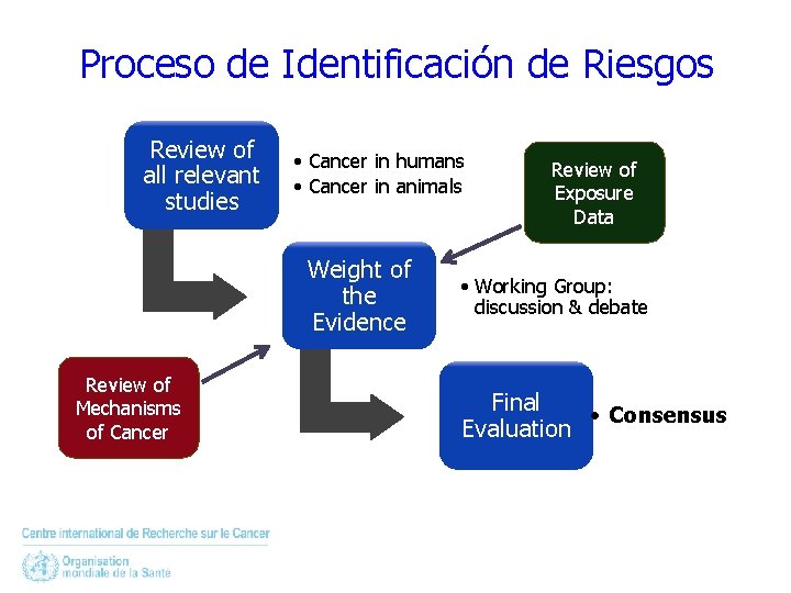 Proceso de Identificación de Riesgos Review of all relevant studies • Cancer in humans