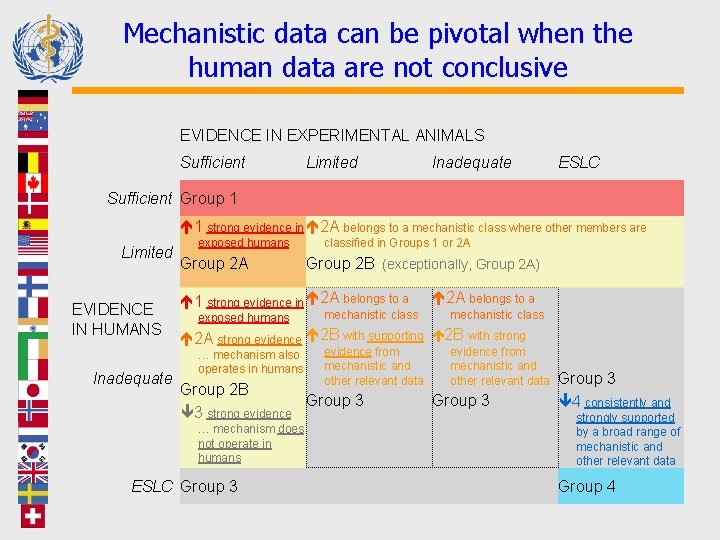Mechanistic data can be pivotal when the human data are not conclusive EVIDENCE IN