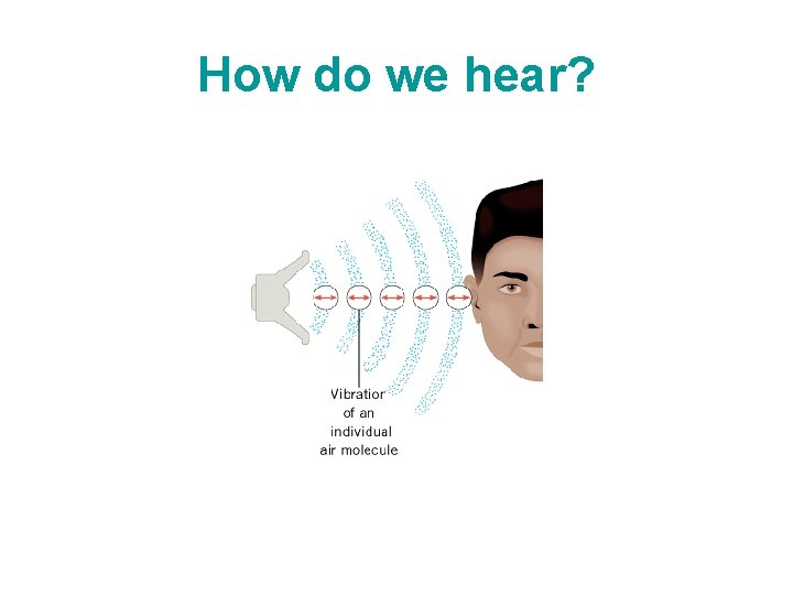 How do we hear? 