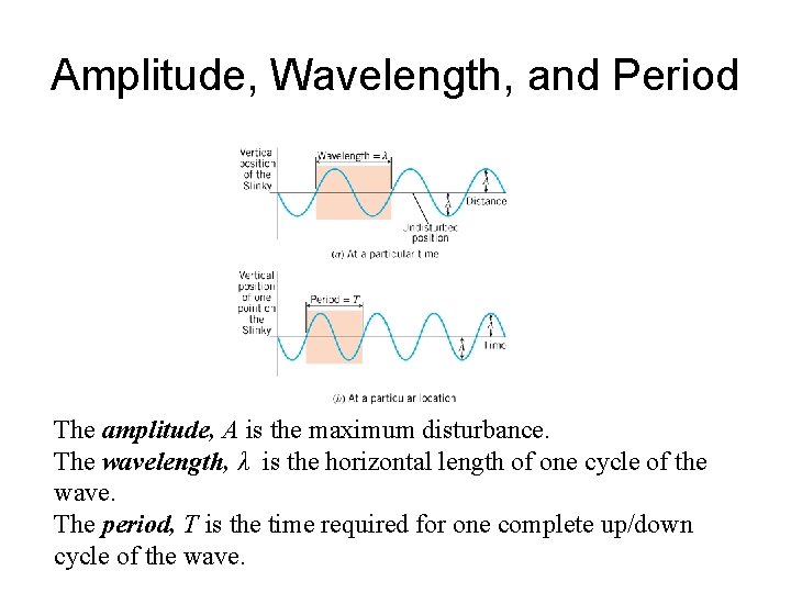 Amplitude, Wavelength, and Period The amplitude, A is the maximum disturbance. The wavelength, λ