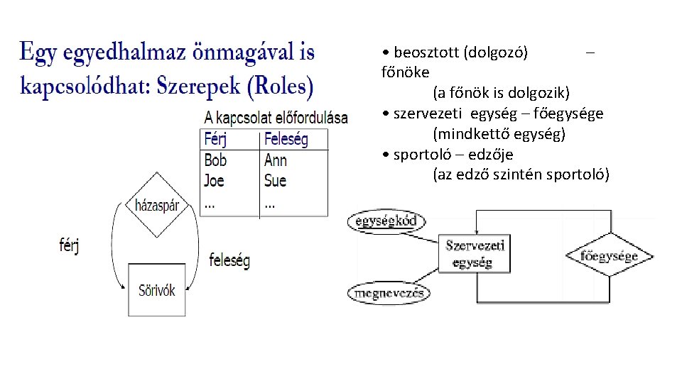  • beosztott (dolgozó) – főnöke (a főnök is dolgozik) • szervezeti egység –