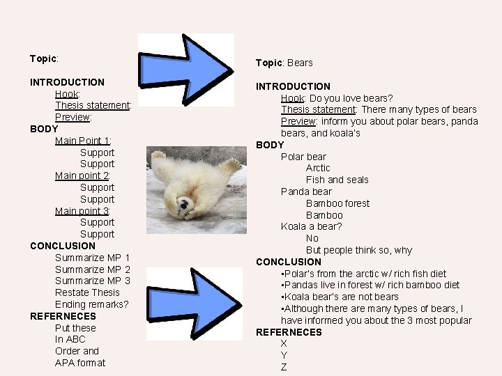 Topic: Bears INTRODUCTION Hook: Thesis statement: Preview: BODY Main Point 1: Support Main point