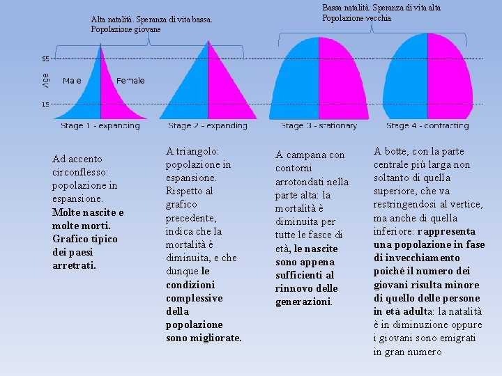 Alta natalità. Speranza di vita bassa. Popolazione giovane Ad accento circonflesso: popolazione in espansione.