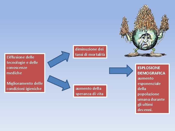 Diffusione delle tecnologie e delle conoscenze mediche Miglioramento delle condizioni igieniche diminuzione dei tassi