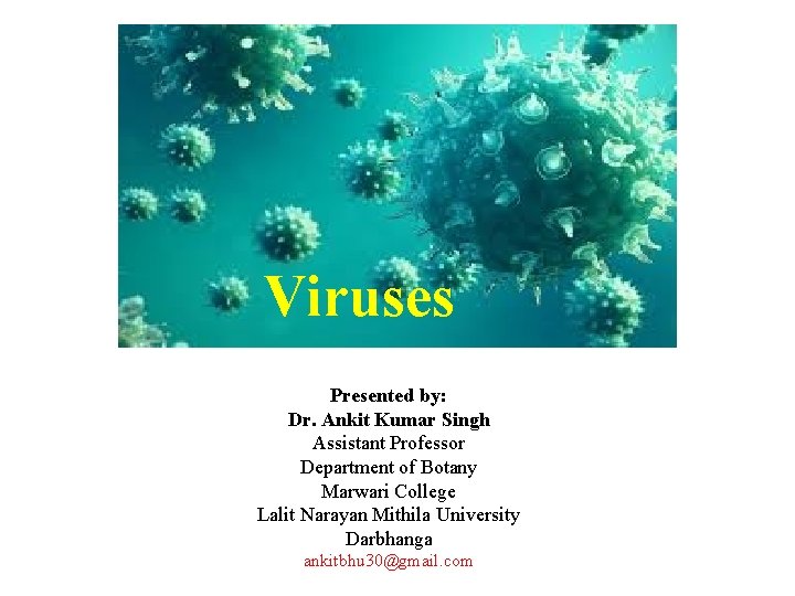 Viruses Presented by: Dr. Ankit Kumar Singh Assistant Professor Department of Botany Marwari College