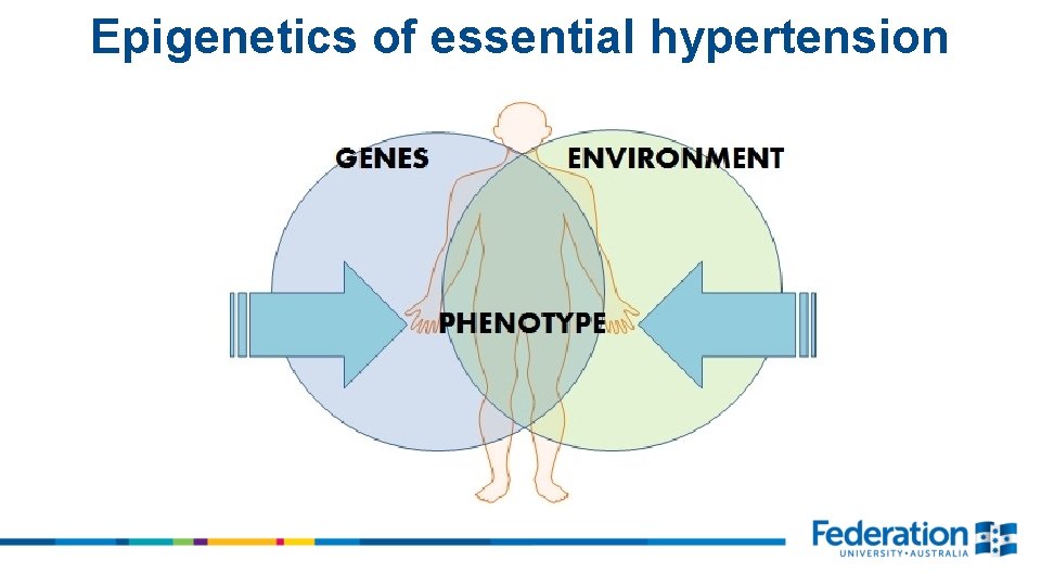 Epigenetics of essential hypertension 