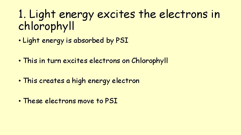 1. Light energy excites the electrons in chlorophyll • Light energy is absorbed by