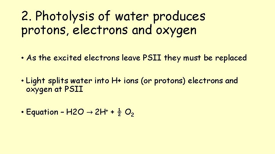 2. Photolysis of water produces protons, electrons and oxygen • As the excited electrons