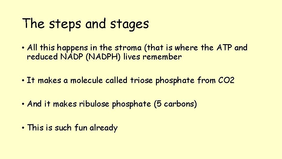 The steps and stages • All this happens in the stroma (that is where