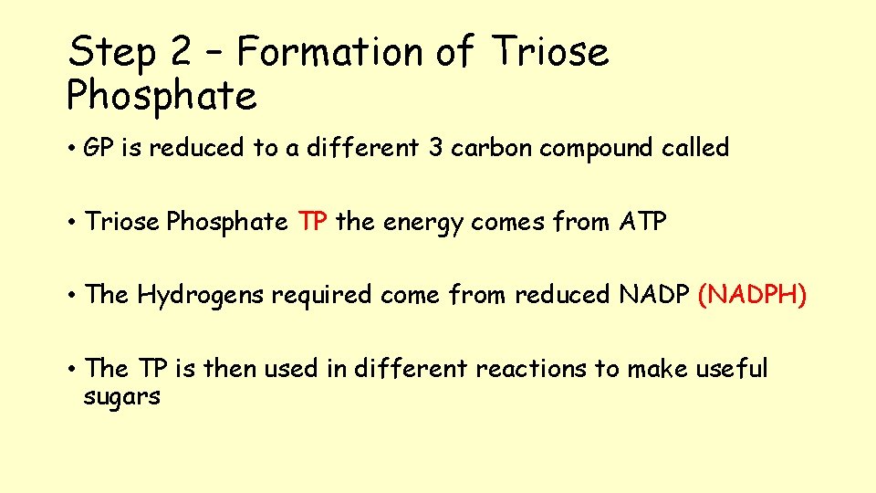 Step 2 – Formation of Triose Phosphate • GP is reduced to a different