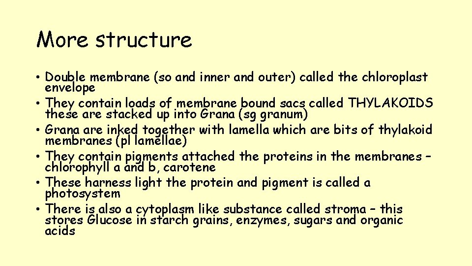 More structure • Double membrane (so and inner and outer) called the chloroplast envelope