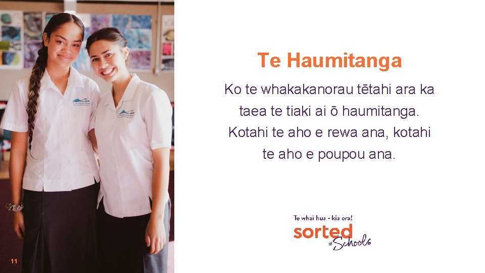 Te Haumitanga Ko te whakakanorau tētahi ara ka taea te tiaki ai ō haumitanga.