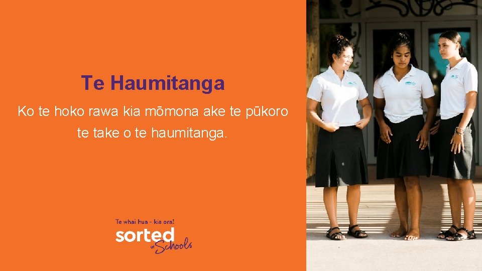 Te Haumitanga Ko te hoko rawa kia mōmona ake te pūkoro te take o