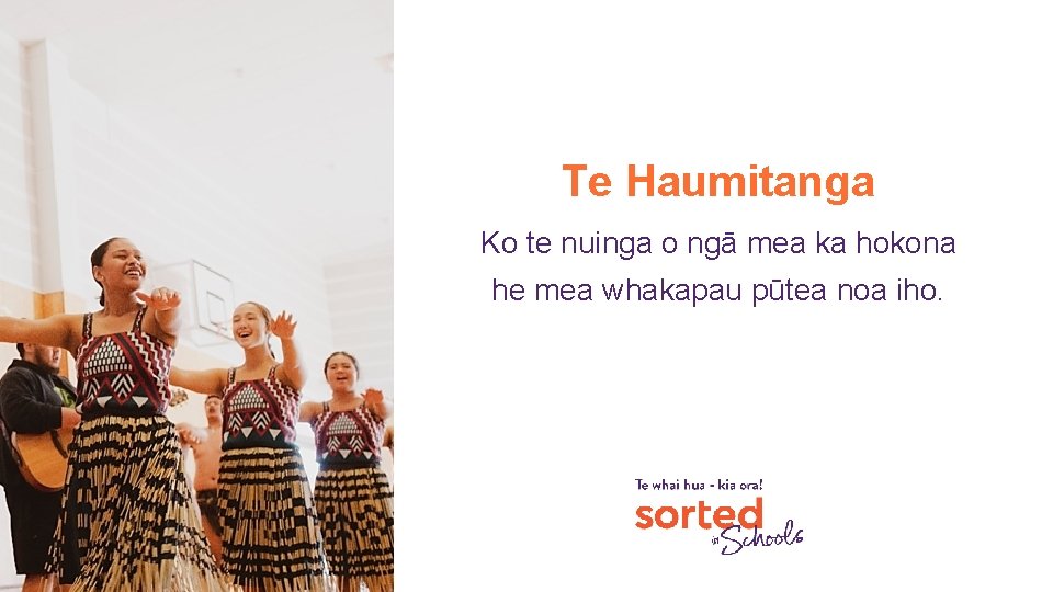 Te Haumitanga Ko te nuinga o ngā mea ka hokona he mea whakapau pūtea