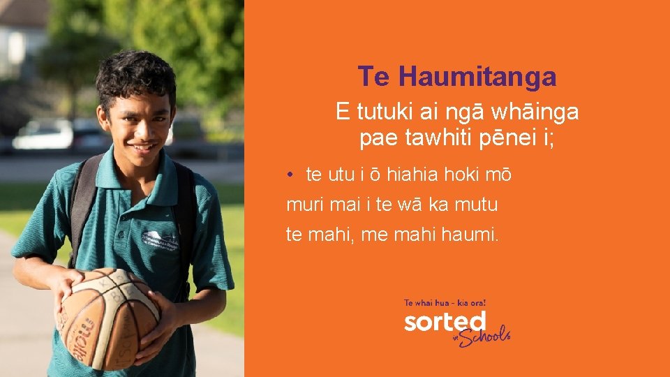 Te Haumitanga E tutuki ai ngā whāinga pae tawhiti pēnei i; • te utu