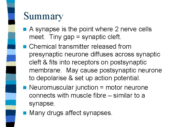 Summary A synapse is the point where 2 nerve cells meet. Tiny gap =