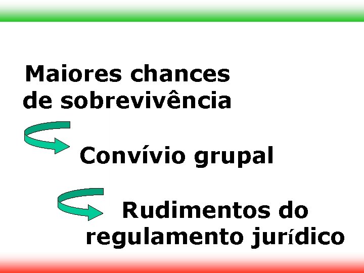 Maiores chances de sobrevivência Convívio grupal Rudimentos do regulamento jurídico 