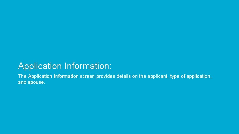 Application Information: The Application Information screen provides details on the applicant, type of application,