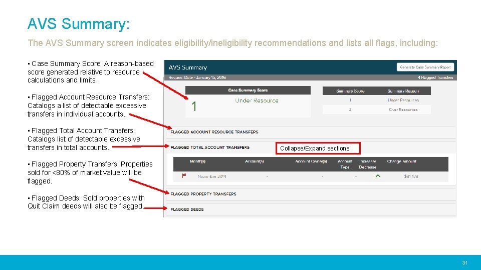 AVS Summary: The AVS Summary screen indicates eligibility/ineligibility recommendations and lists all flags, including: