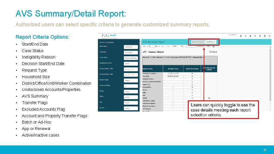 AVS Summary/Detail Report: Authorized users can select specific criteria to generate customized summary reports.