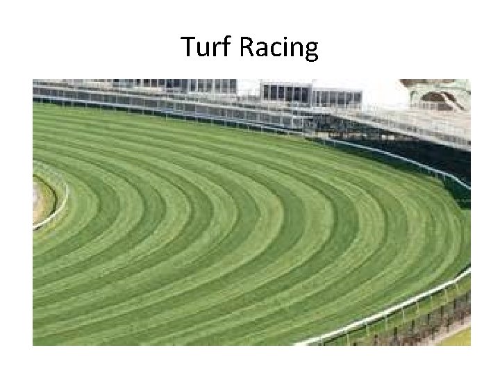 Turf Racing 
