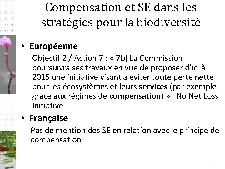 Compensation et SE dans les stratégies pour la biodiversité • Européenne Objectif 2 /