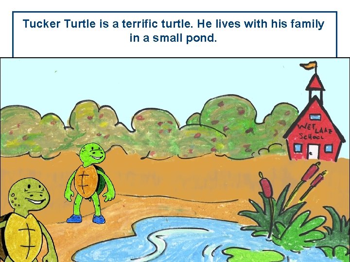 Tucker Turtle is a terrific turtle. He lives with his family in a small Tucker Turtle is a terrific turtle. He lives with his family in a small
