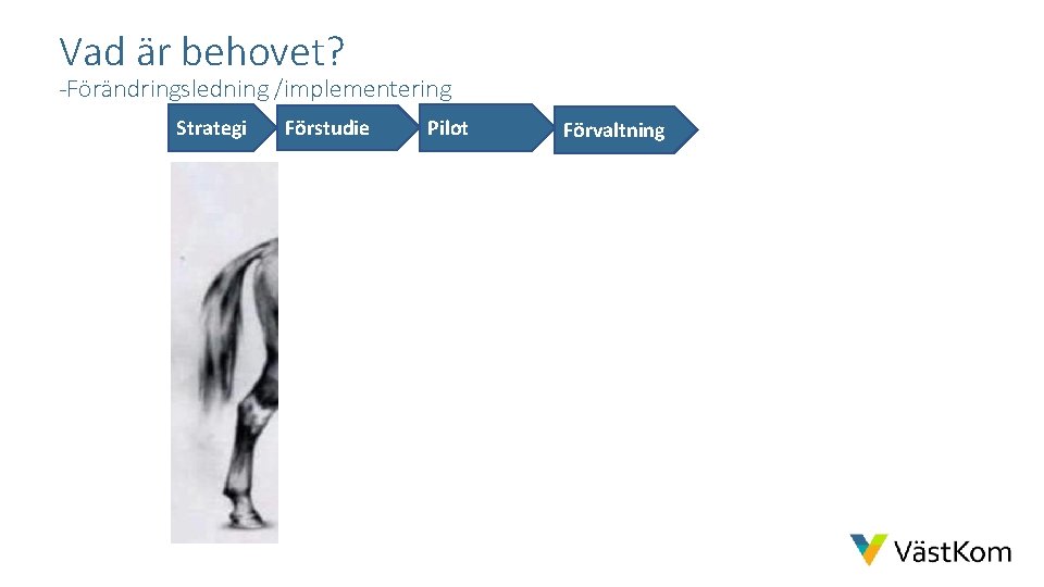 Vad är behovet? -Förändringsledning /implementering Strategi Förstudie Pilot Förvaltning 