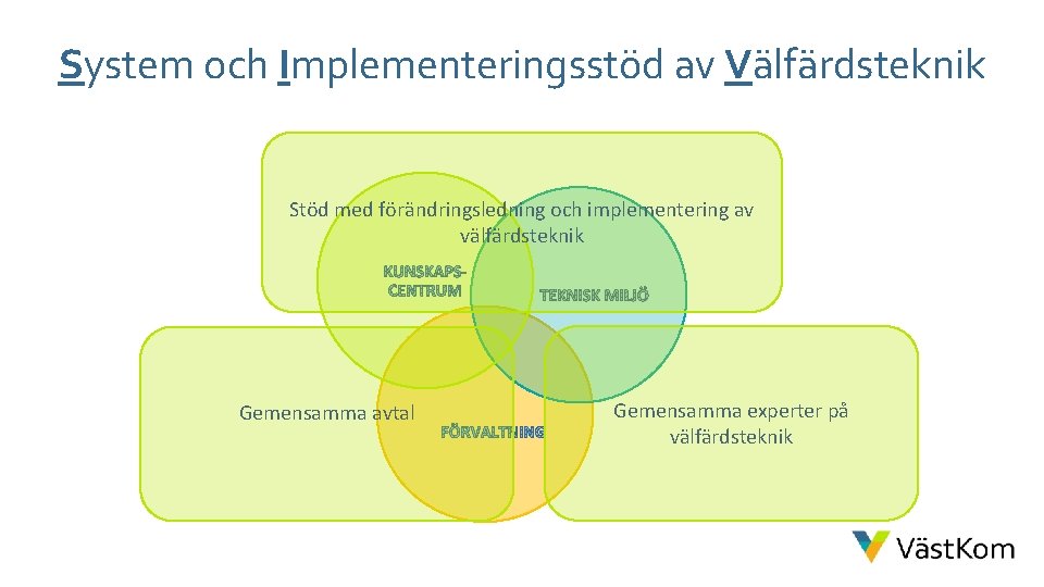 System och Implementeringsstöd av Välfärdsteknik Stöd med förändringsledning och implementering av välfärdsteknik Gemensamma avtal