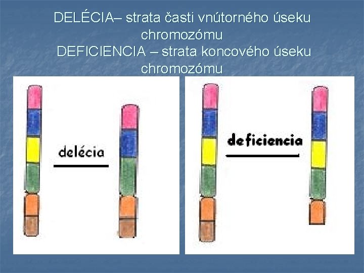 DELÉCIA– strata časti vnútorného úseku chromozómu DEFICIENCIA – strata koncového úseku chromozómu 