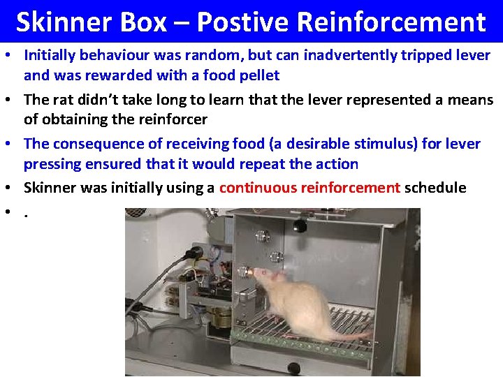 Operant Conditioning Preamble Skinner believed that we both