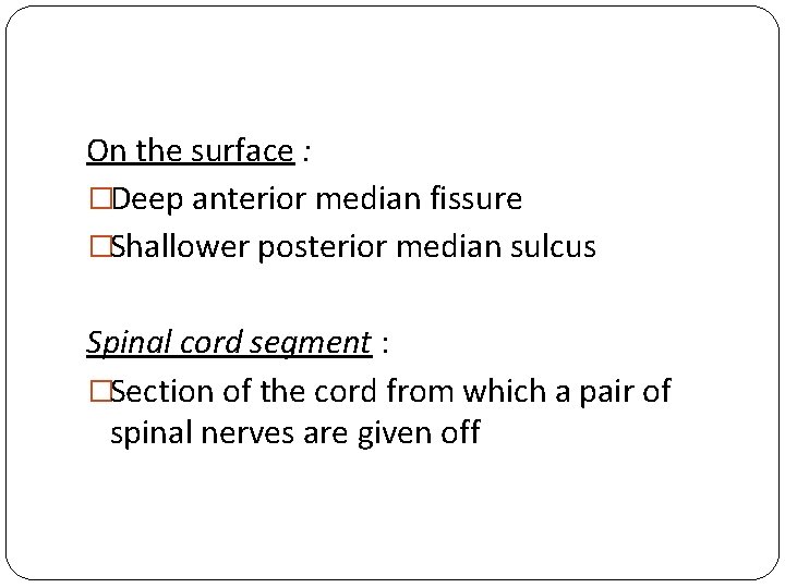 On the surface : �Deep anterior median fissure �Shallower posterior median sulcus Spinal cord