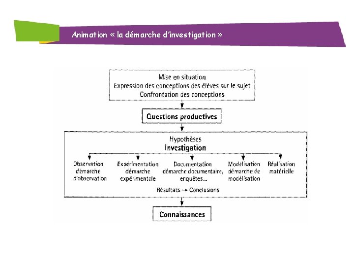 Animation « la démarche d’investigation » 