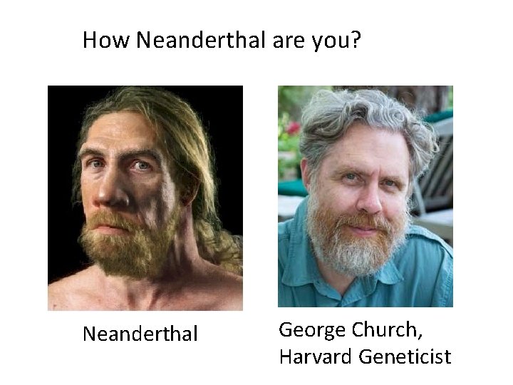How Neanderthal are you? Neanderthal George Church, Harvard Geneticist 