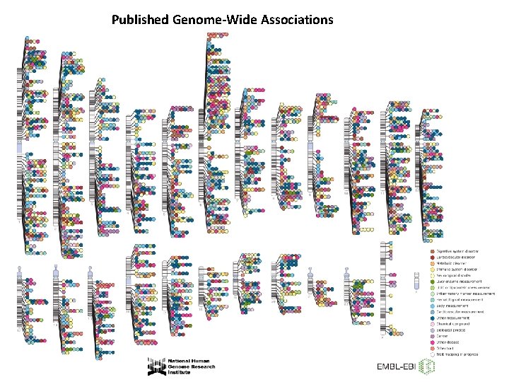 Published Genome-Wide Associations 
