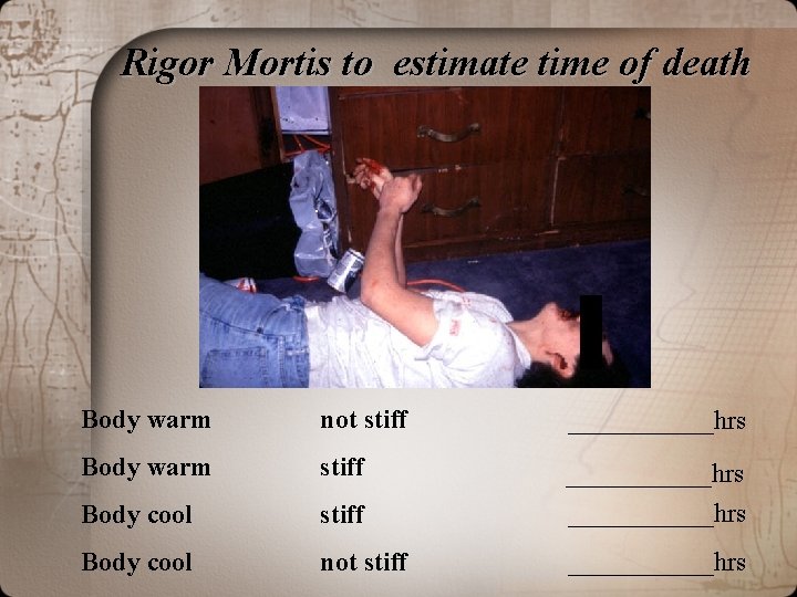 Rigor Mortis to estimate time of death Body warm not stiff less than 3 Rigor Mortis to estimate time of death Body warm not stiff less than 3