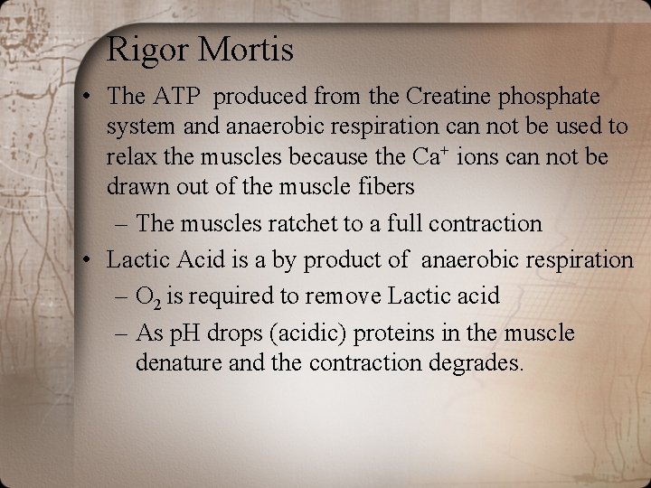 Rigor Mortis • The ATP produced from the Creatine phosphate system and anaerobic respiration Rigor Mortis • The ATP produced from the Creatine phosphate system and anaerobic respiration