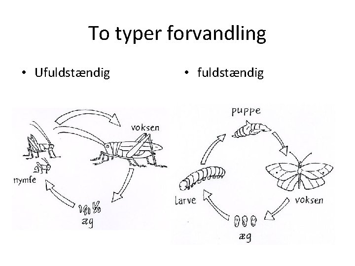 To typer forvandling • Ufuldstændig • fuldstændig 