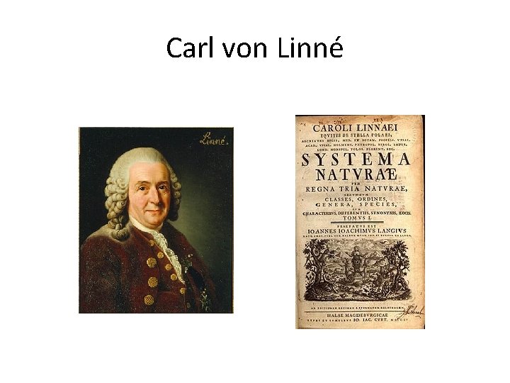 Carl von Linné 