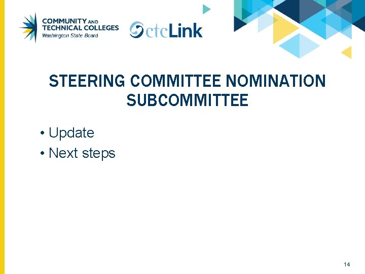 STEERING COMMITTEE NOMINATION SUBCOMMITTEE • Update • Next steps 14 