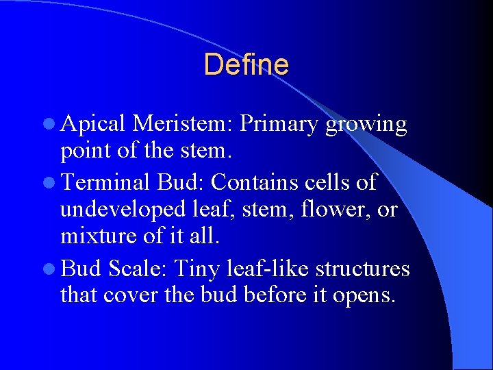 Define l Apical Meristem: Primary growing point of the stem. l Terminal Bud: Contains Define l Apical Meristem: Primary growing point of the stem. l Terminal Bud: Contains