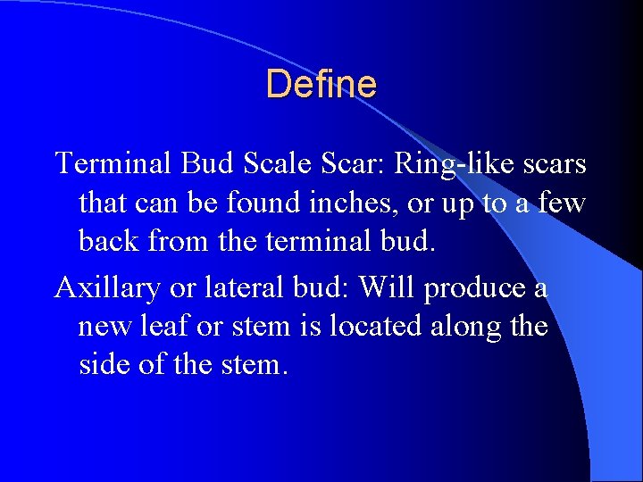 Define Terminal Bud Scale Scar: Ring-like scars that can be found inches, or up Define Terminal Bud Scale Scar: Ring-like scars that can be found inches, or up