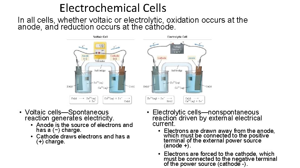 Electrochemical Cells In all cells, whether voltaic or electrolytic, oxidation occurs at the anode,