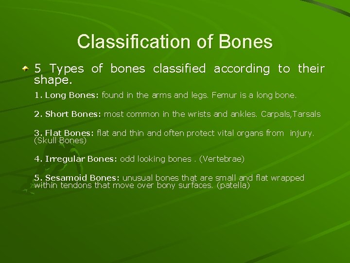 Classification of Bones 5 Types of bones classified according to their shape. 1. Long