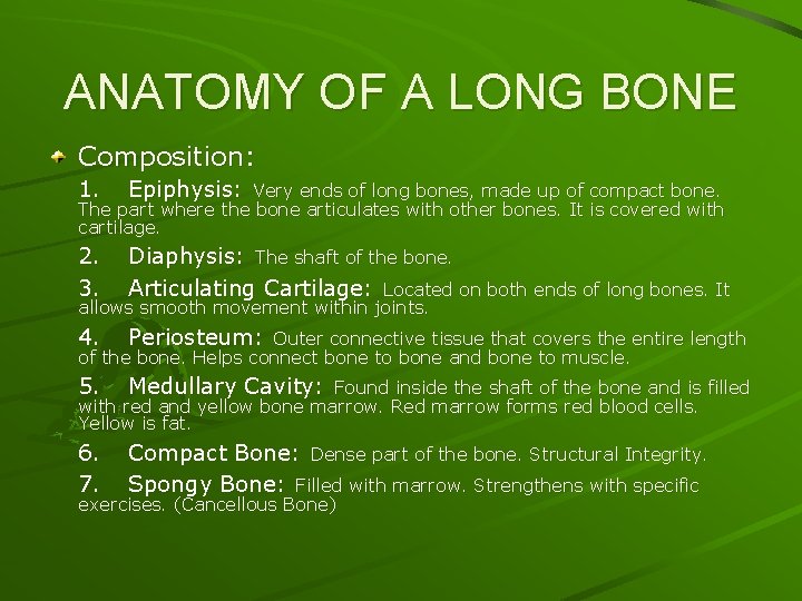 ANATOMY OF A LONG BONE Composition: 1. Epiphysis: 2. 3. Diaphysis: The shaft of