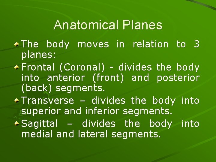 Anatomical Planes The body moves in relation to 3 planes: Frontal (Coronal) - divides