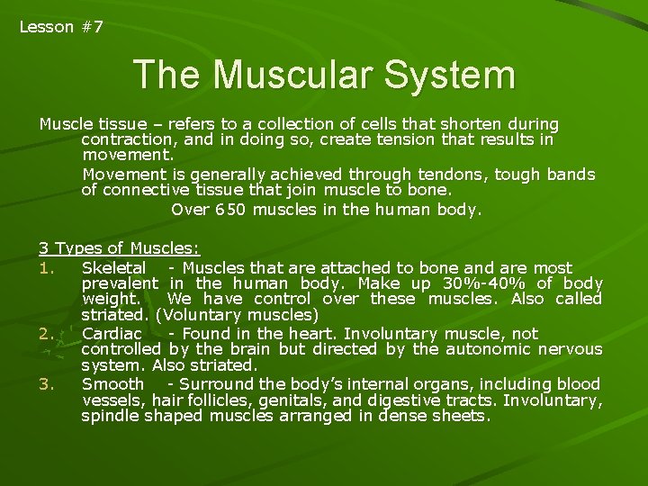 Lesson #7 The Muscular System Muscle tissue – refers to a collection of cells
