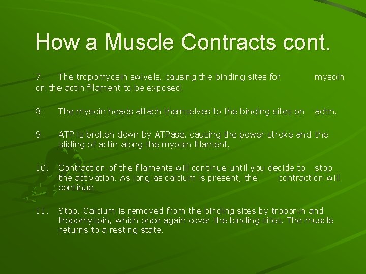How a Muscle Contracts cont. 7. The tropomyosin swivels, causing the binding sites for