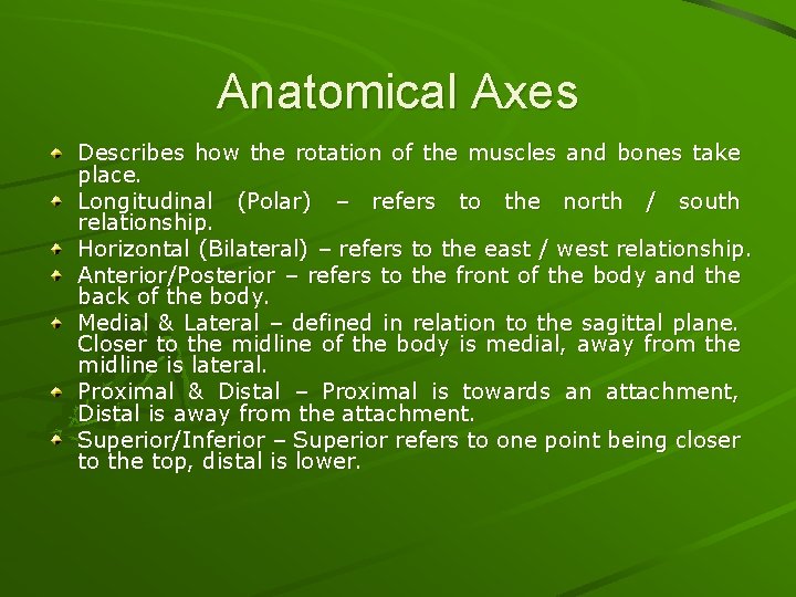 Anatomical Axes Describes how the rotation of the muscles and bones take place. Longitudinal