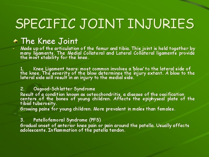 SPECIFIC JOINT INJURIES - The Knee Joint Made up of the articulation of the